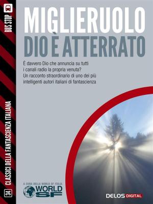 Cover of the book Dio è atterrato by Luciano Bacchin