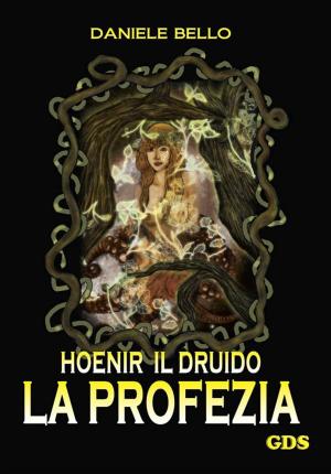 Cover of the book Hoenir Il druido - La profezia by KT FANNING