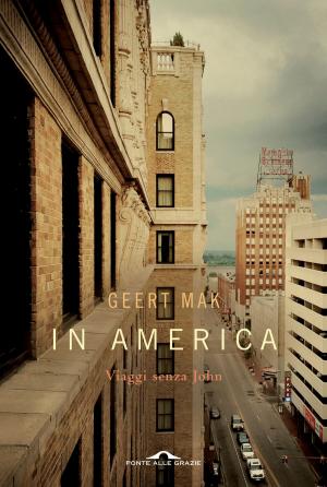 Cover of the book In America by Rebecca Solnit