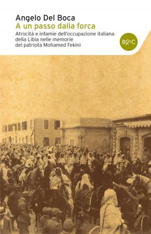 Cover of the book A un passo dalla forca by Cesare Maestri
