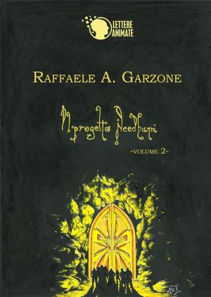Cover of the book Il Progetto Needhami -2- by Nicole De Luca