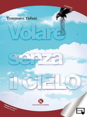 Cover of the book Volare senza il cielo by Marco Vitelli