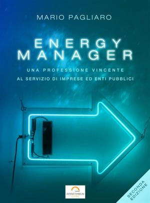 Cover of the book Energy manager: Una professione vincente al servizio di imprese ed enti pubblici. Seconda edizione by Andre CRONJE