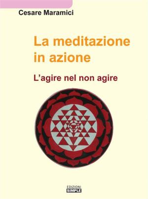 Cover of the book La meditazione in azione by Basilio Perri