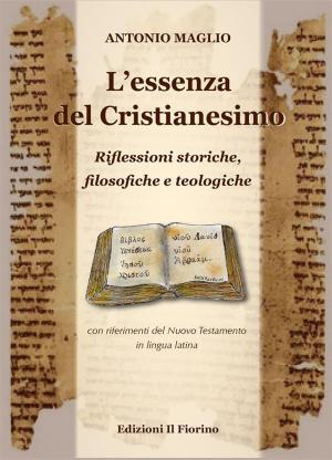Cover of the book L'essenza del Cristianesimo - Riflessioni storiche, filosofiche e teologiche by Andrea Righi