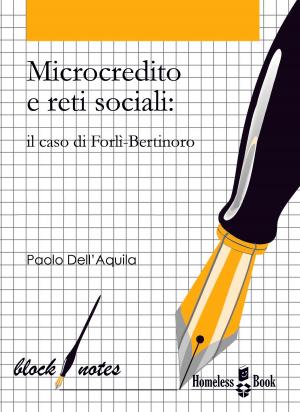 Cover of the book Microcredito e reti sociali by Francesco Bozza
