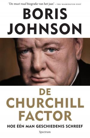 Cover of the book De churchill factor by Tineke Honingh