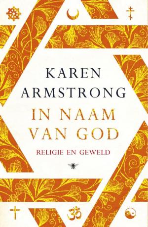 Cover of the book In naam van God by Willem Frederik Hermans