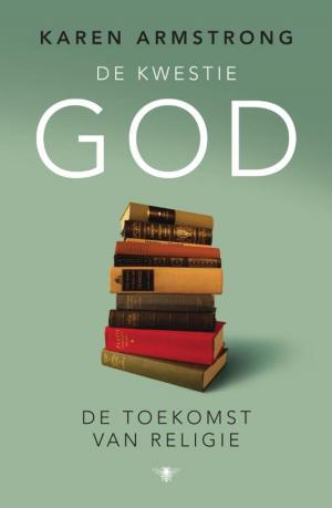 Cover of the book De kwestie God by Marten Toonder