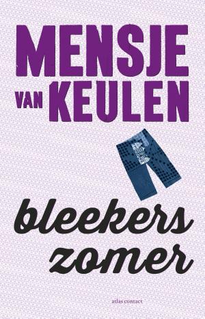 Cover of the book Bleekers zomer by Jaap Peters, Mathieu Weggeman