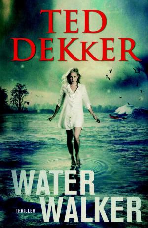 Cover of the book Water Walker by Annemarie van Heijningen-Steenbergen