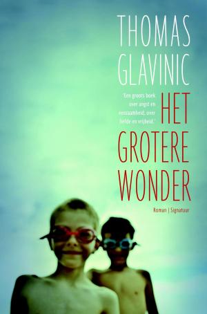 Cover of the book Het grotere wonder by John Sandford