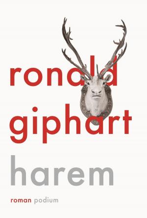 Cover of the book Harem by Ronald Giphart