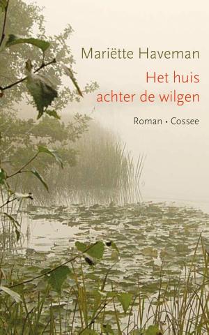 Cover of the book Het huis achter de wilgen by David Foenkinos