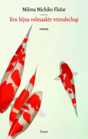 Cover of the book Een bijna volmaakte vriendschap by Eva Meijer