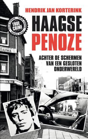Cover of the book De Haagse penoze by Merel van Groningen