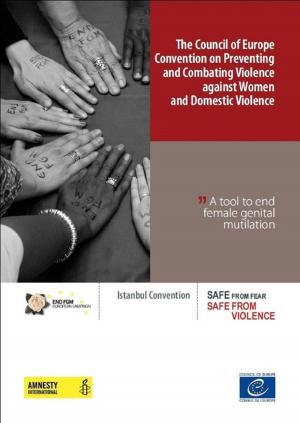 Cover of the book The Council of Europe Convention on Preventing and Combating Violence against Women and Domestic Violence - A tool to end female genital mutilation by Jean-Claude Beacco, Michael Byram, Marisa Cavalli, Daniel Coste, Mirjam Egli Cuenat, Francis Goullier, Johanna Panthier