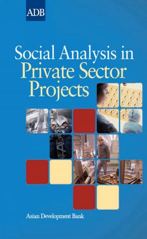 Cover of Social Analysis in Private Sector Projects