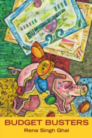 Cover of the book BUDGET BUSTERS by Amar Agarwala