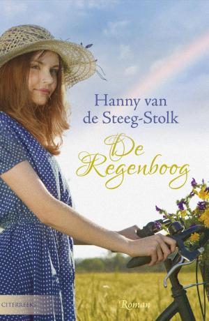 Cover of the book De regenboog by Joke Verweerd