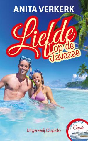 Cover of the book Liefde op de Javazee by Anita Verkerk