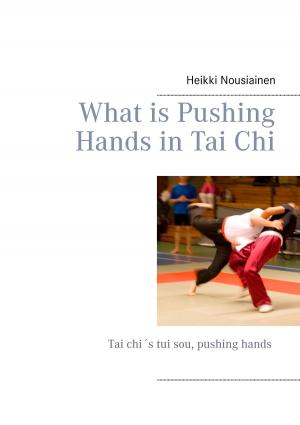 Cover of the book What is Pushing Hands in Tai Chi by Swen Franke