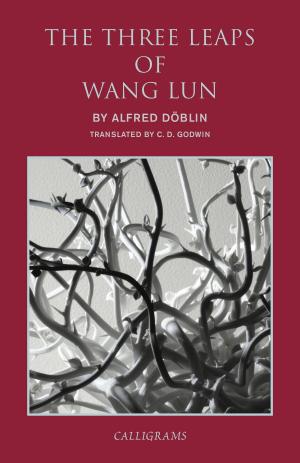 Cover of the book The Three Leaps of Wang Lun by John Williams