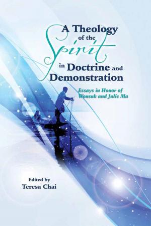 Book cover of A Theology of the Spirit in Doctrine and Demonstration