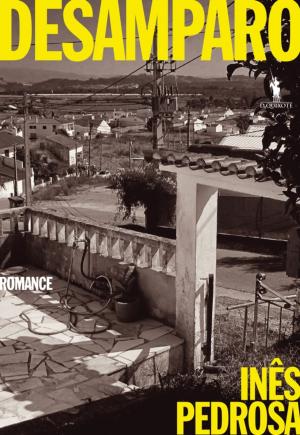 Cover of the book Desamparo by Nuno Camarneiro