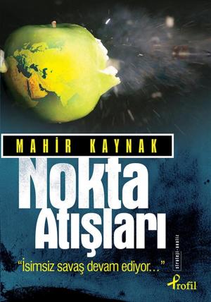bigCover of the book Nokta Atışları by 