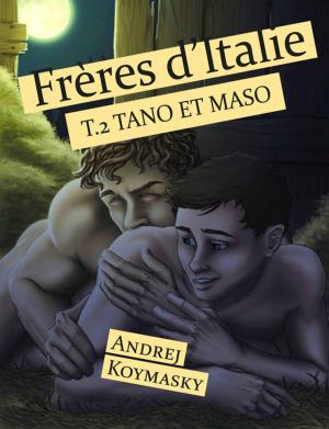 Cover of the book Frères d'Italie, tome 2 : Tano et Maso by Éric Jung