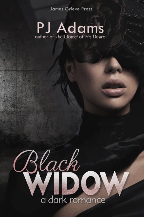 Cover of the book Black Widow by PJ Adams, James Grieve Press