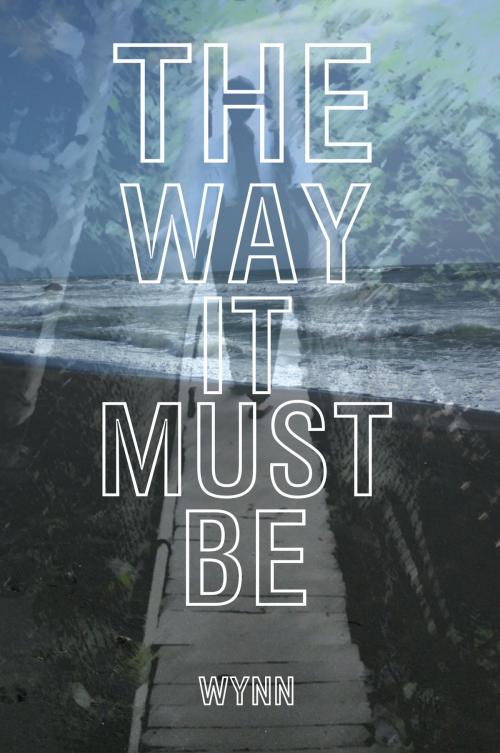 Cover of the book The Way It Must Be by E.S. Wynn, Thunderune Publishing