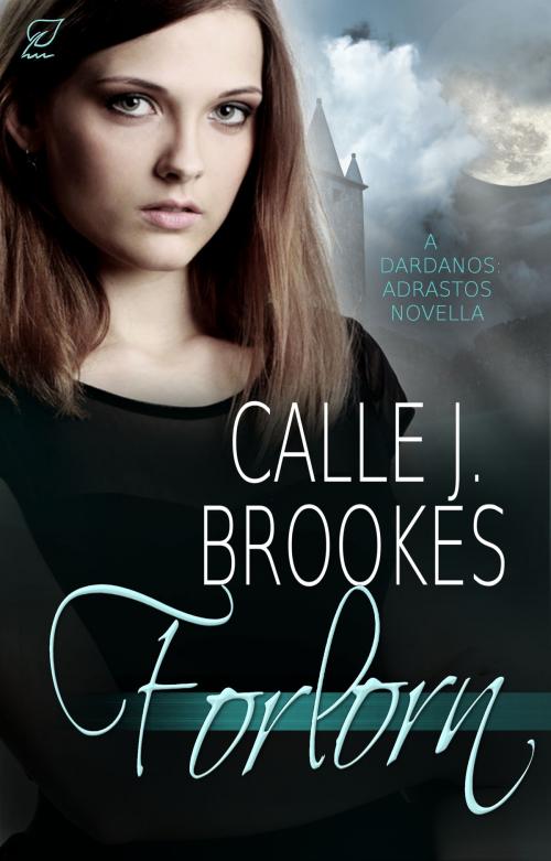 Cover of the book Forlorn by Calle J. Brookes, Lost River Lit Publishing,L.L.C.
