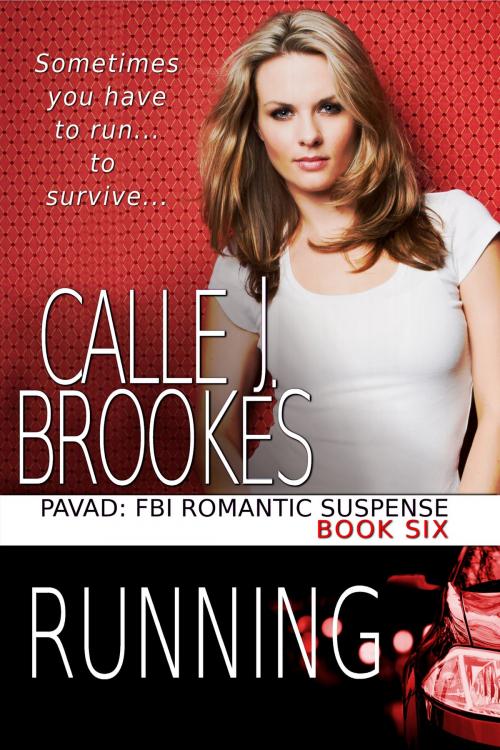 Cover of the book Running by Calle J. Brookes, Lost River Lit Publishing,L.L.C.