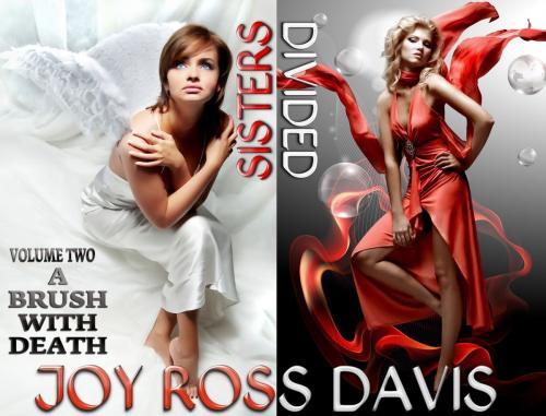 Cover of the book Sisters Divided - Volume 2 - A Brush With Death by Joy Ross Davis, Helping Hands Press