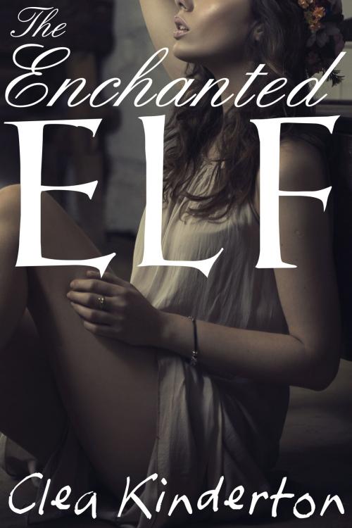 Cover of the book The Enchanted Elf by Clea Kinderton, Red Lamp Press
