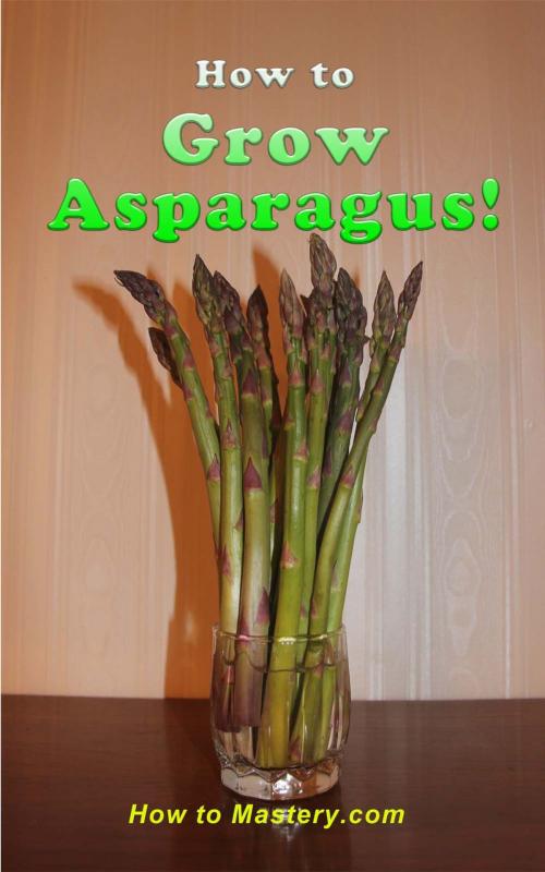 Cover of the book How to Grow Asparagus by Kimberly Peters, How to Mastery