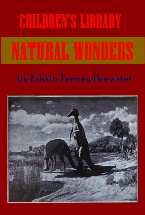 Cover of the book CHILDREN’S LIBRARY - Natural Wonders (Illustrated) by Edwin Tenney Brewster, AGEB Publishing
