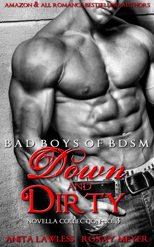 Cover of the book Down and Dirty: Bad Boys of BDSM Novella Collection No. 3 by Anita Lawless, Roxxy Meyer, Wild & Lawless Writers