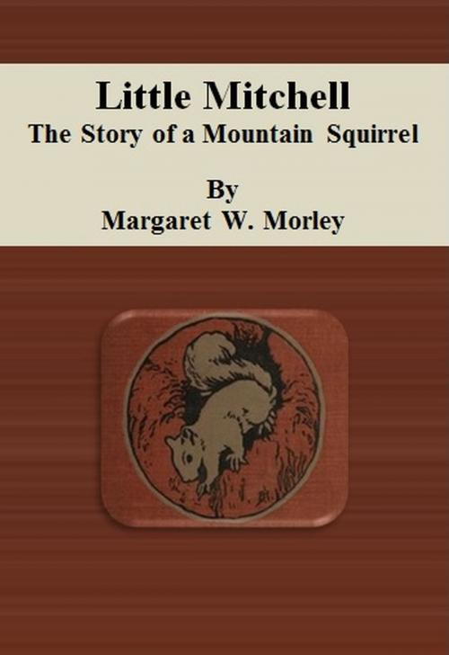 Cover of the book Little Mitchell: The Story of a Mountain Squirrel by Margaret W. Morley, cbook6556
