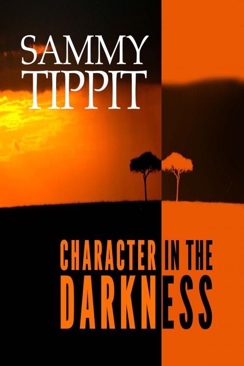 Cover of the book Character in the Darkness by Sammy Tippit, Sammy Tippit Books