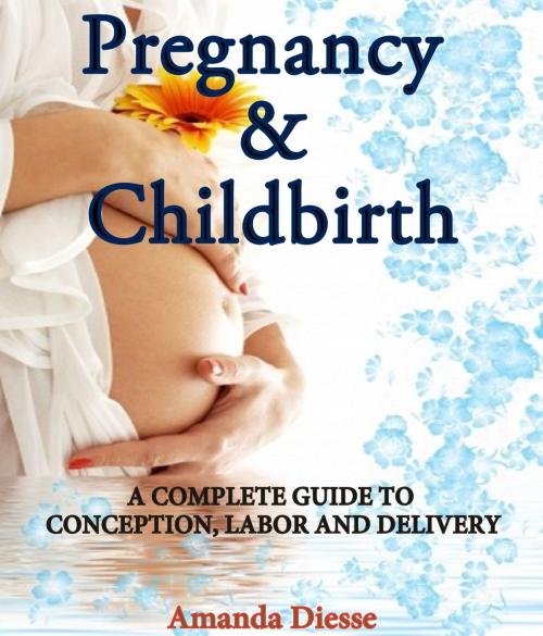 Cover of the book PREGNANCY AND CHILDBIRTH by Amanda Diesse, Amanda Diesse