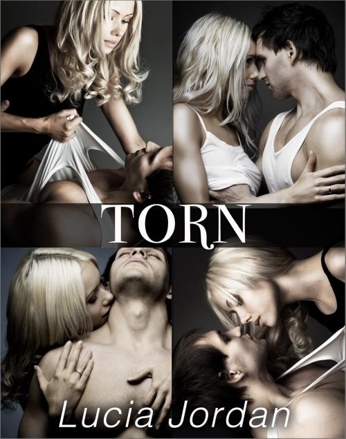 Cover of the book Torn - Complete Series by Lucia Jordan, Vasko