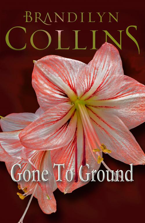 Cover of the book Gone To Ground by Brandilyn Collins, Challow Press