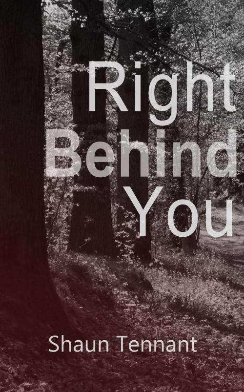 Cover of the book Right Behind You by Shaun Tennant, Shaun Tennant