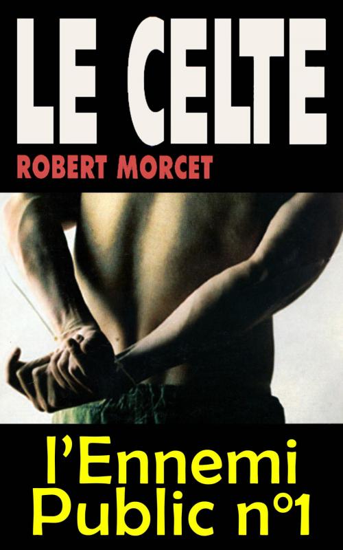 Cover of the book L'ennemi Public n°1 by Robert Morcet, GLM LLC