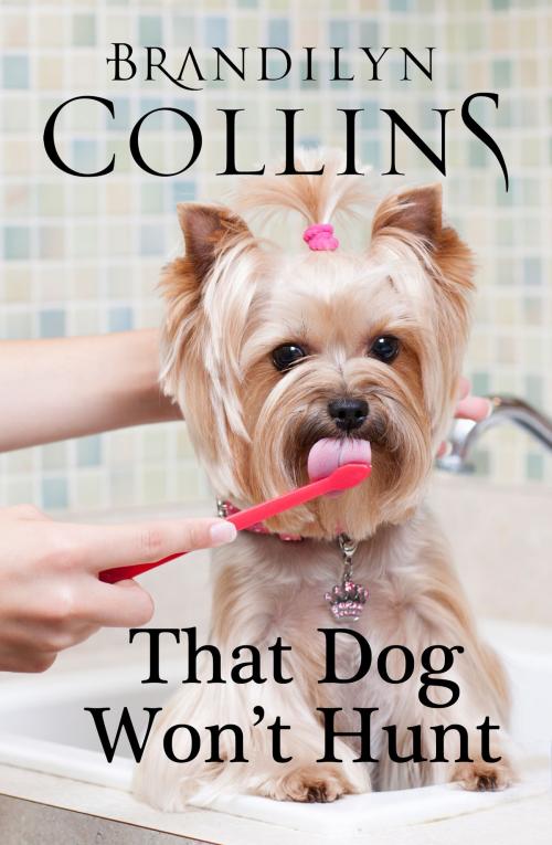 Cover of the book That Dog Won't Hunt by Brandilyn Collins, Challow Press