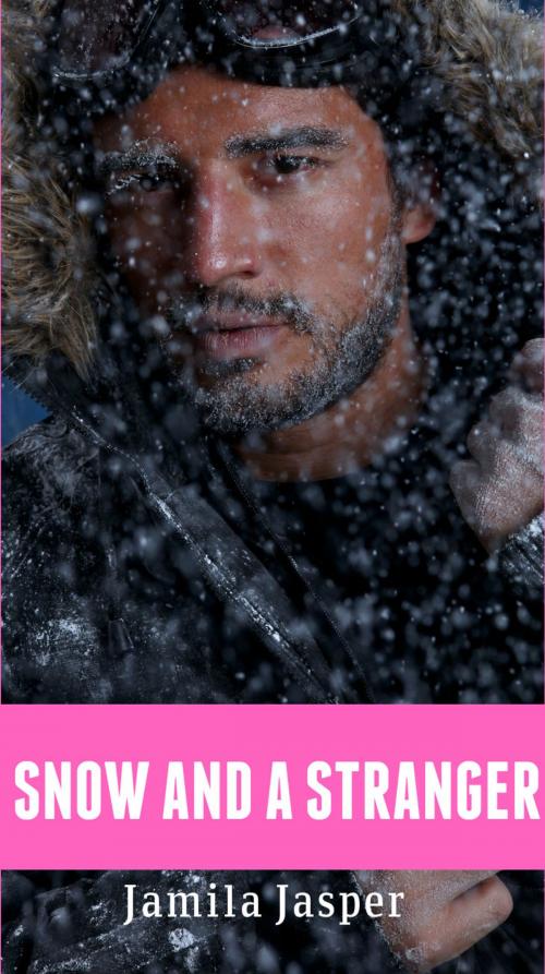 Cover of the book Snow And A Stranger by Jamila Jasper, Jamila Jasper Publishing