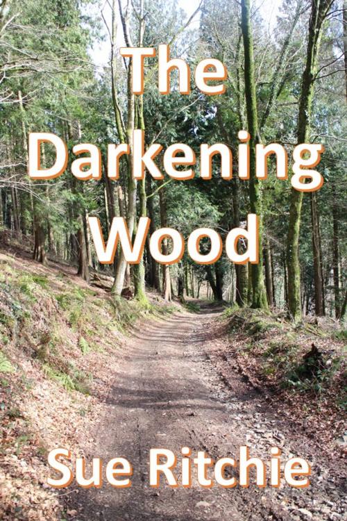 Cover of the book The Darkening Wood by Sue Ritchie, Ritchie Publications